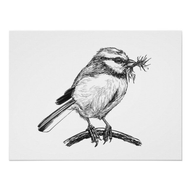 Blaue Vogelfarbe zeichnend Poster (Vorderseite)