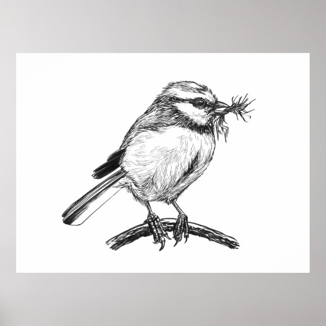 Blaue Vogelfarbe zeichnend Poster (Vorne)