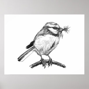 Blaue Vogelfarbe zeichnend Poster