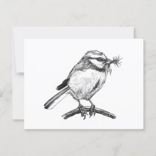 Blaue Vogelfarbe zeichnend Postkarte