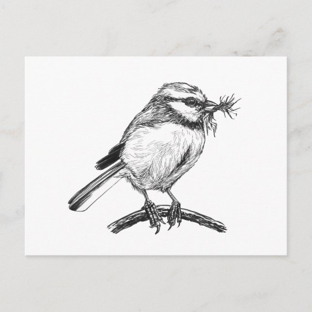 Blaue Vogelfarbe zeichnend Postkarte (Vorderseite)