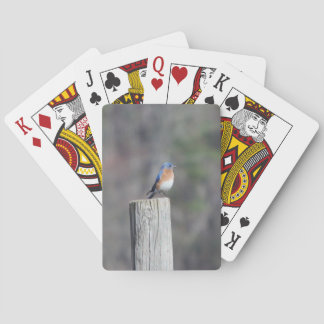 Blaue Vogelspielkarten Spielkarten