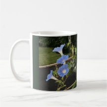 Blaue Wasserfall-Prunkwinde