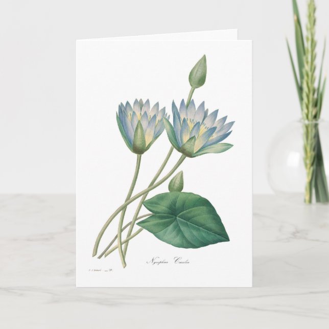 Blaue Wasserlilie Karte (Vorderseite)