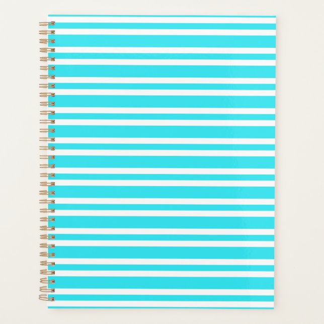 Blaue weiße Streifenmuster Planer (Vorderseite)