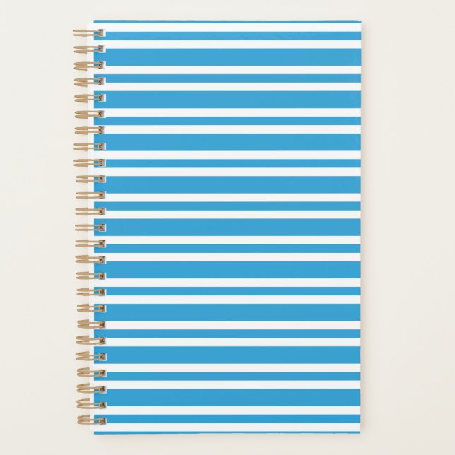 Blaue weiße Streifenmuster Planer (Vorderseite)