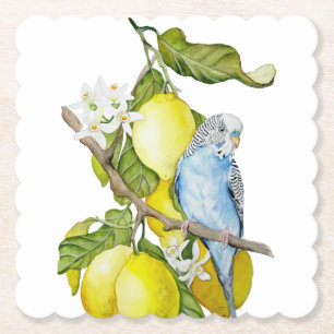 Blaue Wellensittich im Zitronenbaum Aquarell Botan Untersetzer