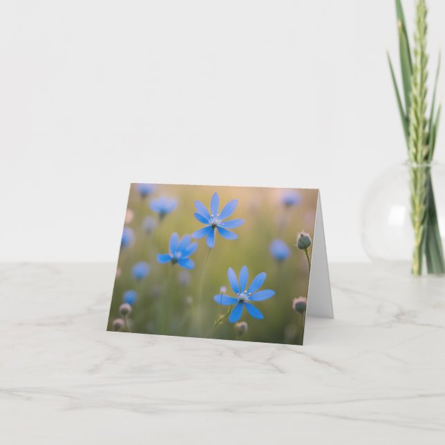 Blaue Wildblumen auf Meadow (Vorderseite)