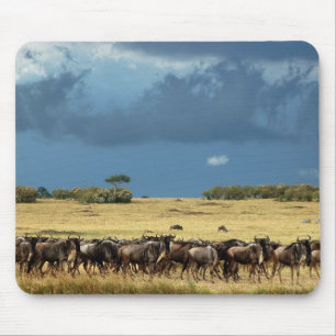 Blaue Wildebeestmigration Masai-Mara mousepads
