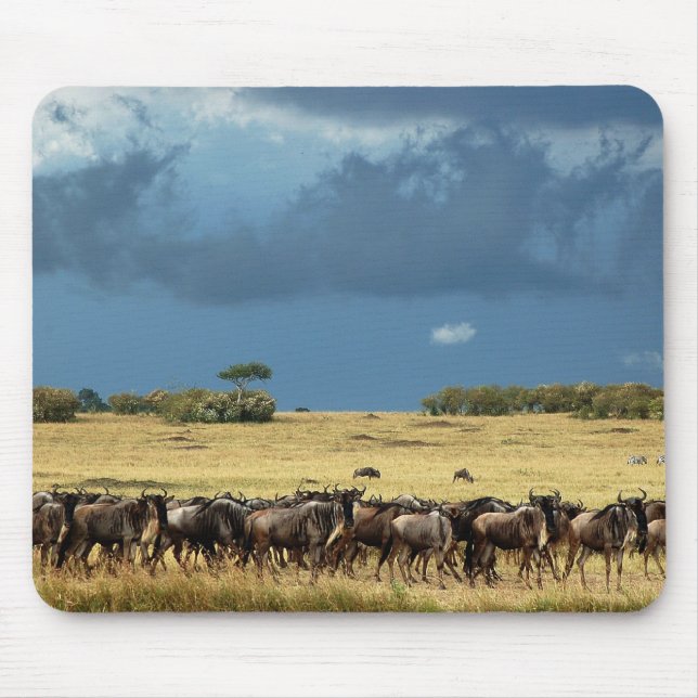 Blaue Wildebeestmigration Masai-Mara mousepads (Vorne)