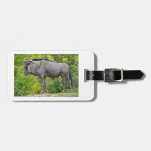 Blaue Wildnis Gepäckanhänger