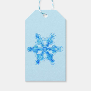 Blaue Winterschneeflocke Geschenkanhänger