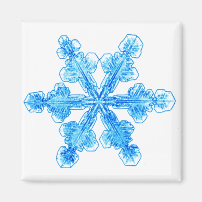 Blaue Winterschneeflocke Magnet (Vorne)
