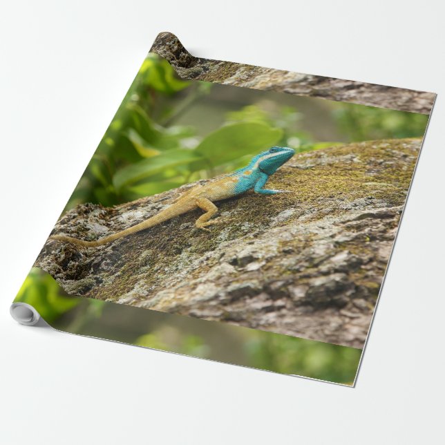 Blaue Zwergechse Calotes Mystaceus Geschenkpapier (Ungerollt)