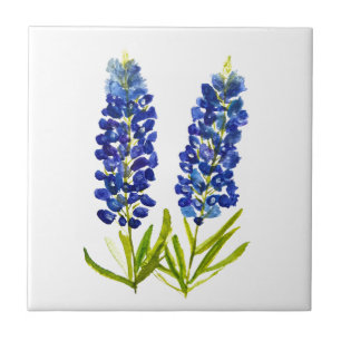 Blauebonnets Texas State Blumen Lupine Aquarell  Fliese