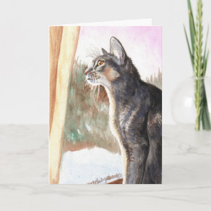 Blauer Abyssinier "WinterSun" Karte