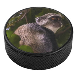Blauer Affe, Sansibar Eishockey Puck