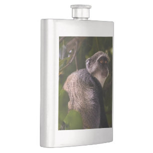 Blauer Affe, Sansibar Flachmann
