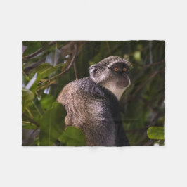 Blauer Affe, Sansibar Fleecedecke