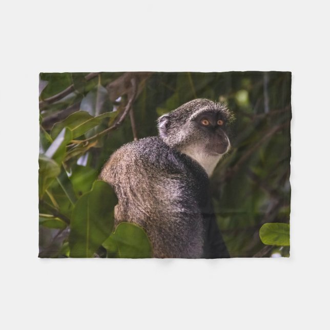 Blauer Affe, Sansibar Fleecedecke (Vorderseite (Horizontal))