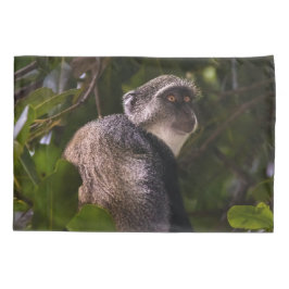 Blauer Affe, Sansibar Kissenbezug