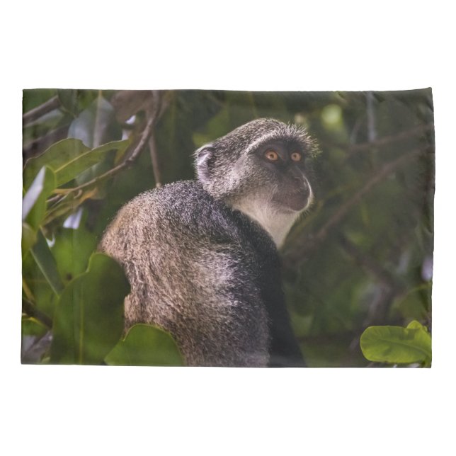 Blauer Affe, Sansibar Kissenbezug (Rückseite)