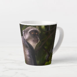 Blauer Affe, Sansibar Milchtasse