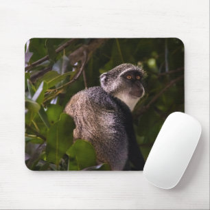 Blauer Affe, Sansibar Mousepad