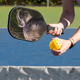 Blauer Affe, Sansibar Pickleball Schläger