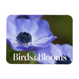Blauer Anemone Magnet