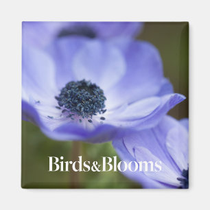 Blauer Anemone Magnet
