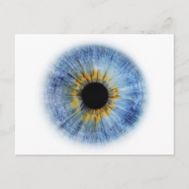 Blauer Augapfel Postkarte (Vorderseite)