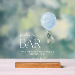 Blauer Ballon, Eukalyptus, Grüne, Momosa Bar Acrylschild
