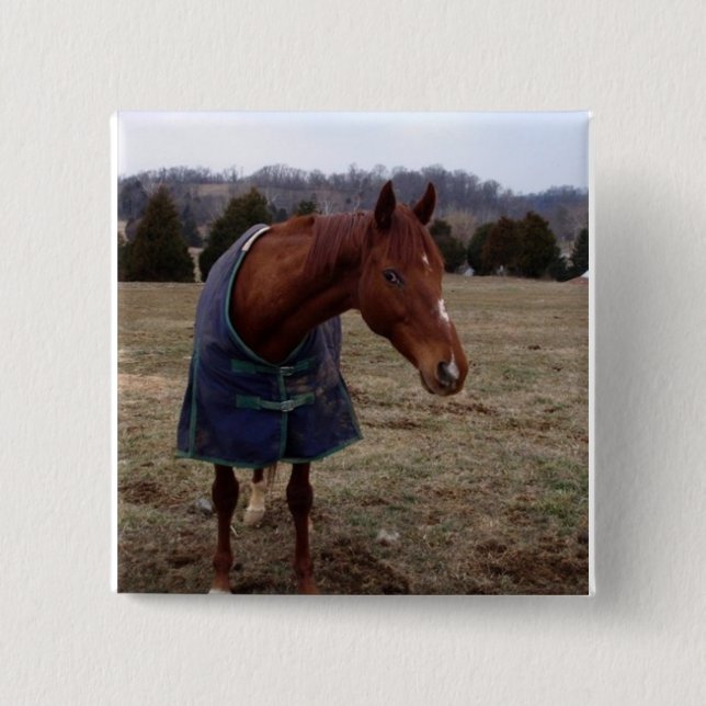 Blauer blauer Seequadrat-Knopf Button (Vorderseite)