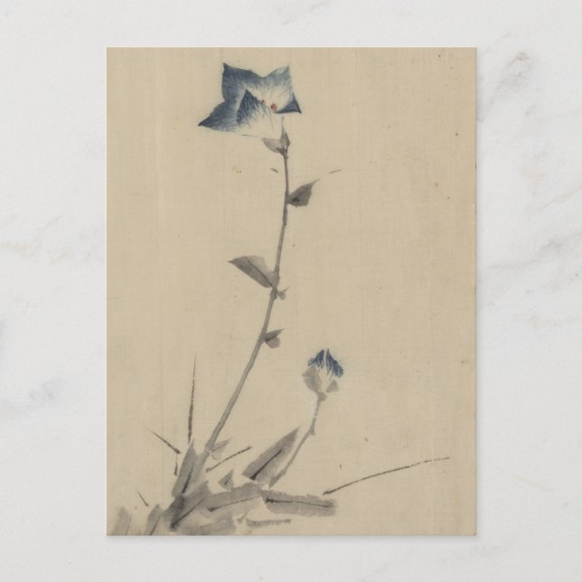 Blauer Blume Blossom und Bud am Ende eines Stalks Postkarte (Vorderseite)