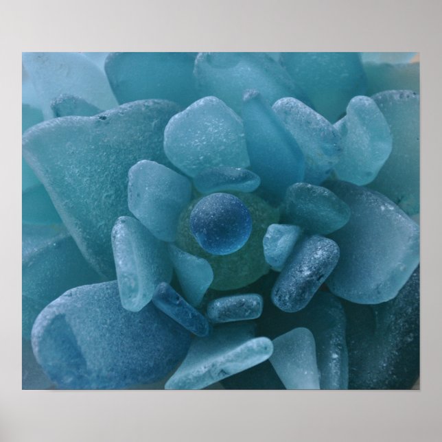 Blauer Blume Poster (Vorne)