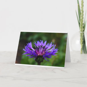Blauer Blumenblume Blume blüht die Liebe des Fried Dankeskarte