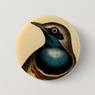 Blauer Breasted Vogel Button