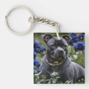 "Blauer Brindle Beauty: Ein Geheimtipp mit blauen Schlüsselanhänger