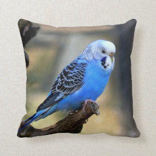 Blauer Budgie PapageiParakeet Kissen