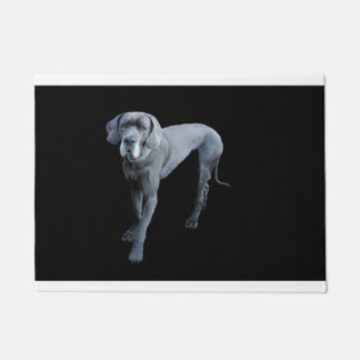 Blauer Däne Fußmatte