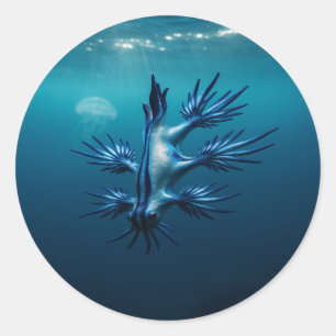Blauer Drache des Meeres Runder Aufkleber
