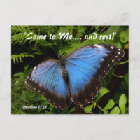 Blauer exotischer Schmetterling