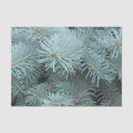 Blauer Fichtengrauer Winter Seidenpapier