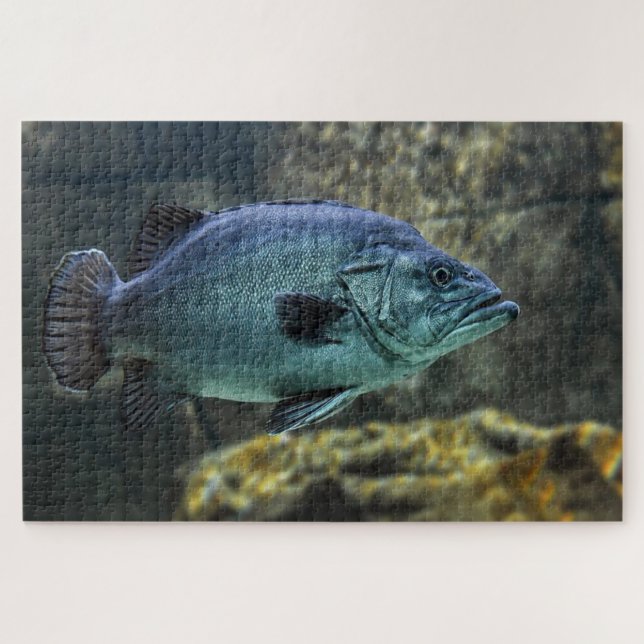 Blauer Fisch (Horizontal)