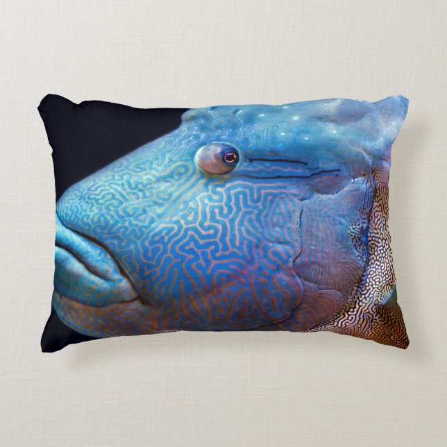 Blauer Fisch Dekokissen (Vorderseite)
