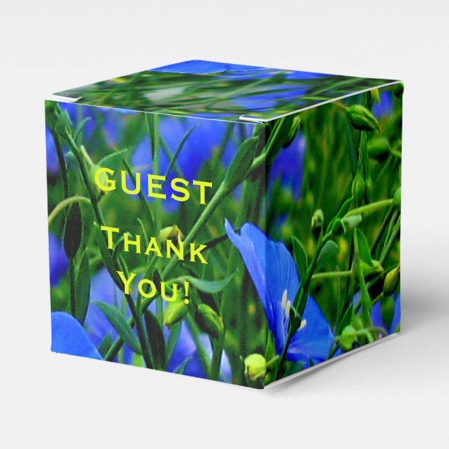 Blauer Flachs-Linum-Blume-SQUARE-FELD Geschenkschachtel (Vorderseite)