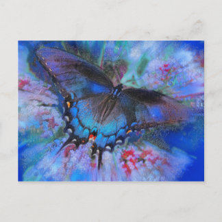 Blauer Flug, Postkarte