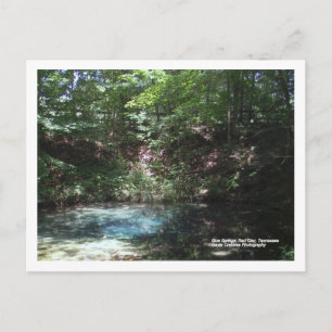 Blauer Frühling im Roten Clay, Tennessee Postkarte