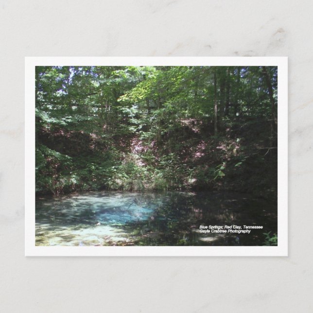 Blauer Frühling im Roten Clay, Tennessee Postkarte (Vorderseite)